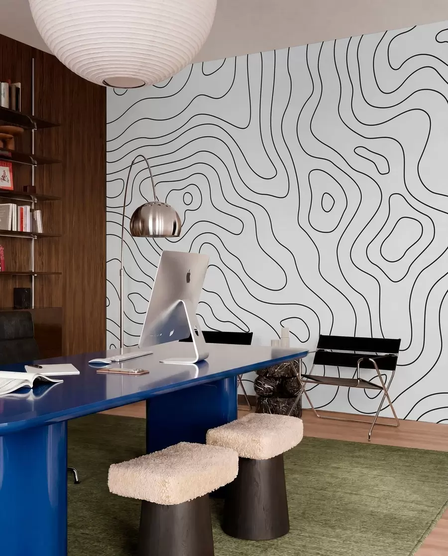 murales de pared mapa topográfico u70650
