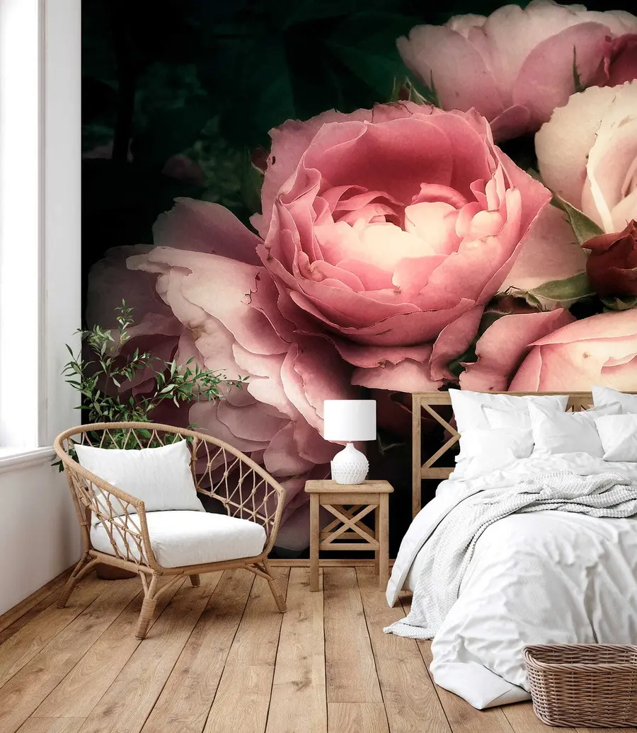 murales de pared Peonías rosadas delicadas u08062