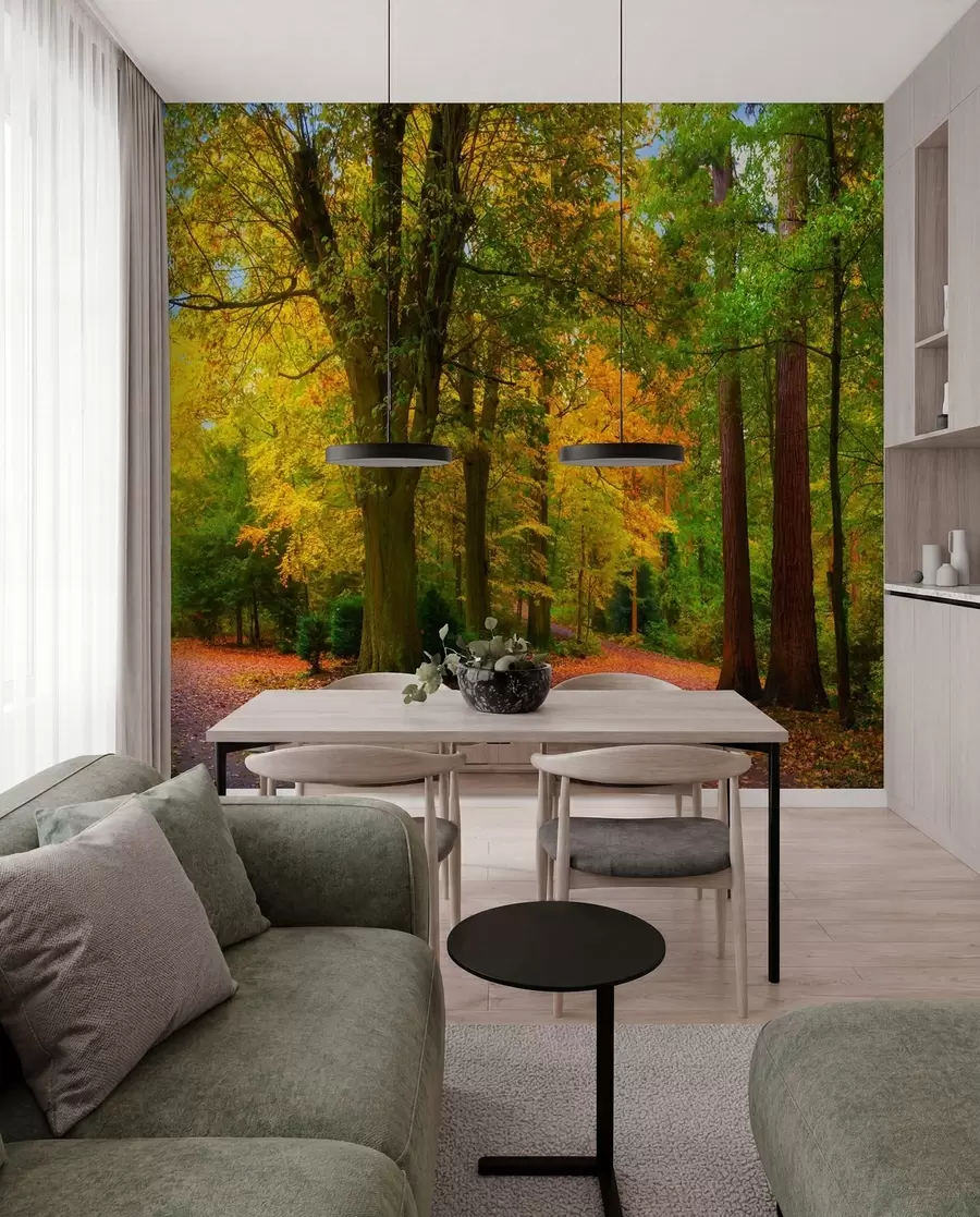 murales de pared Comienzo de otoño u08547