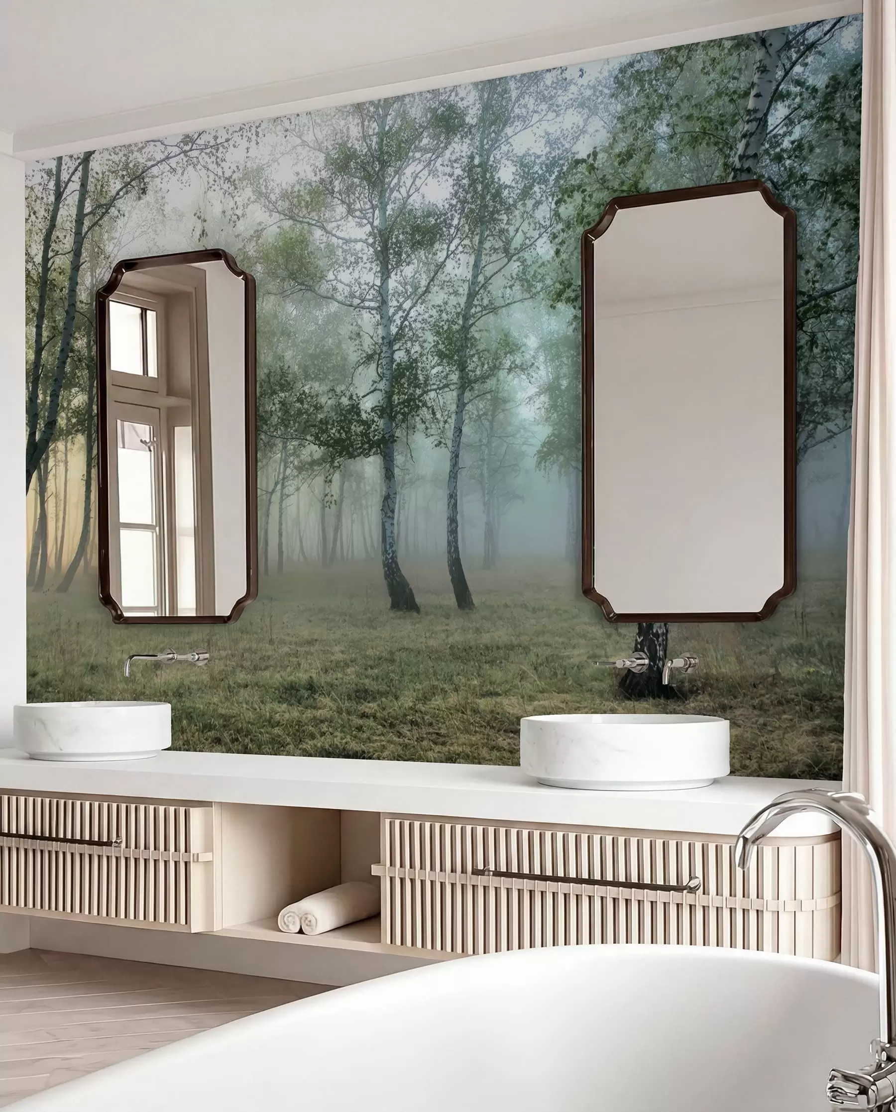 murales de pared Bosque de abedules de niebla u25820