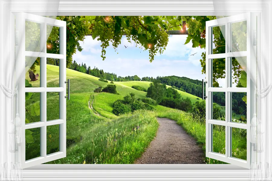 murales de pared Vista desde la ventana al claro u28196