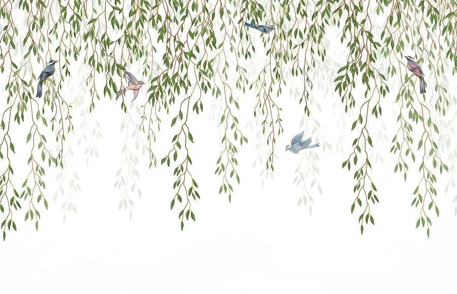 murales de pared Las ramas de sauce u28344