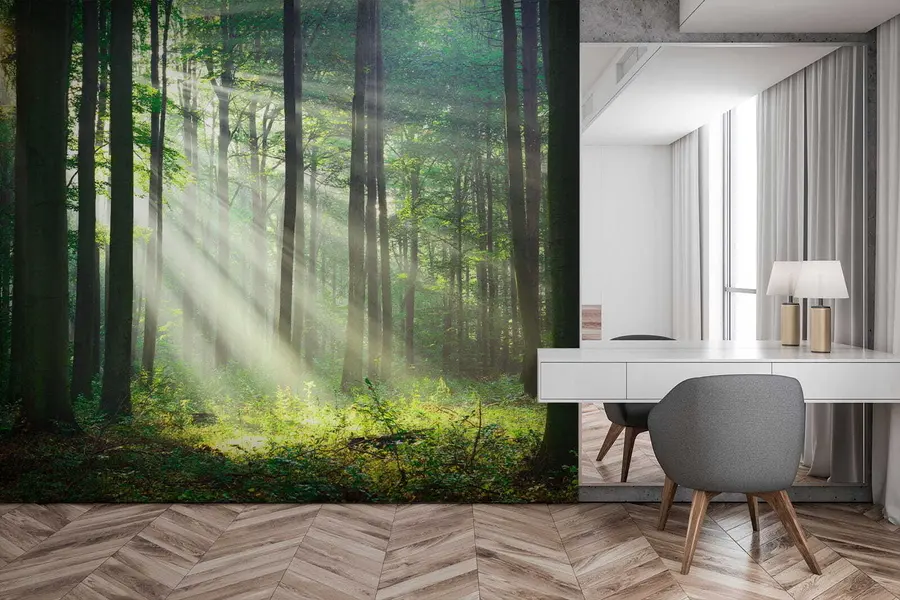 murales de pared Rayos soleados en el bosque u56787