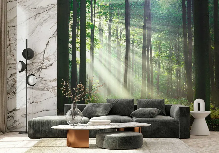 murales de pared Rayos soleados en el bosque u56787