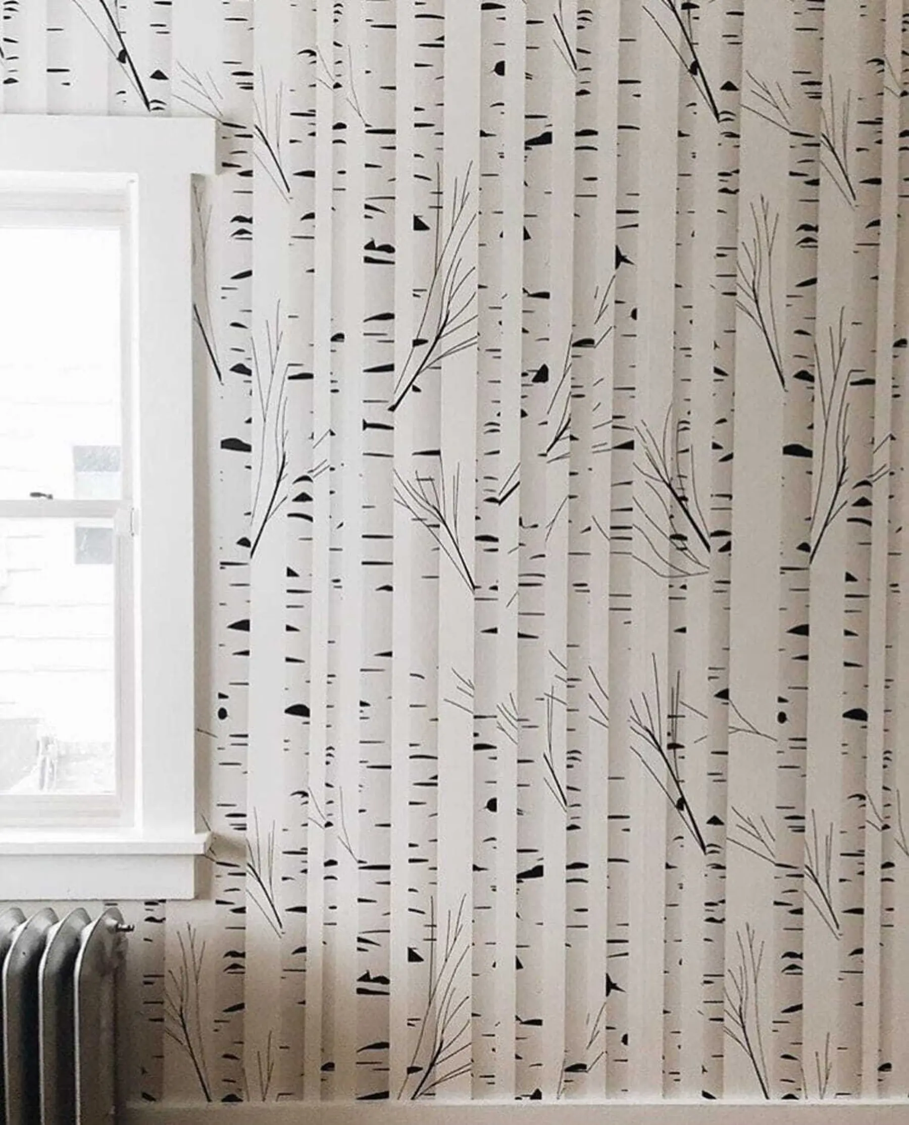 murales de pared Bosque de abedules u58973