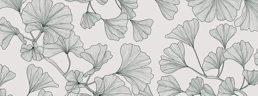 murales de pared Fondo gris lirio ginkgo w00328v2