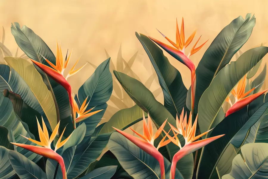 murales de pared Cálida floración tropical w01484