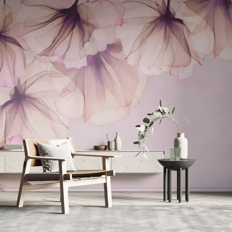 murales de pared delicadas flores translúcidas, flores rosas, flores desde arriba w01080