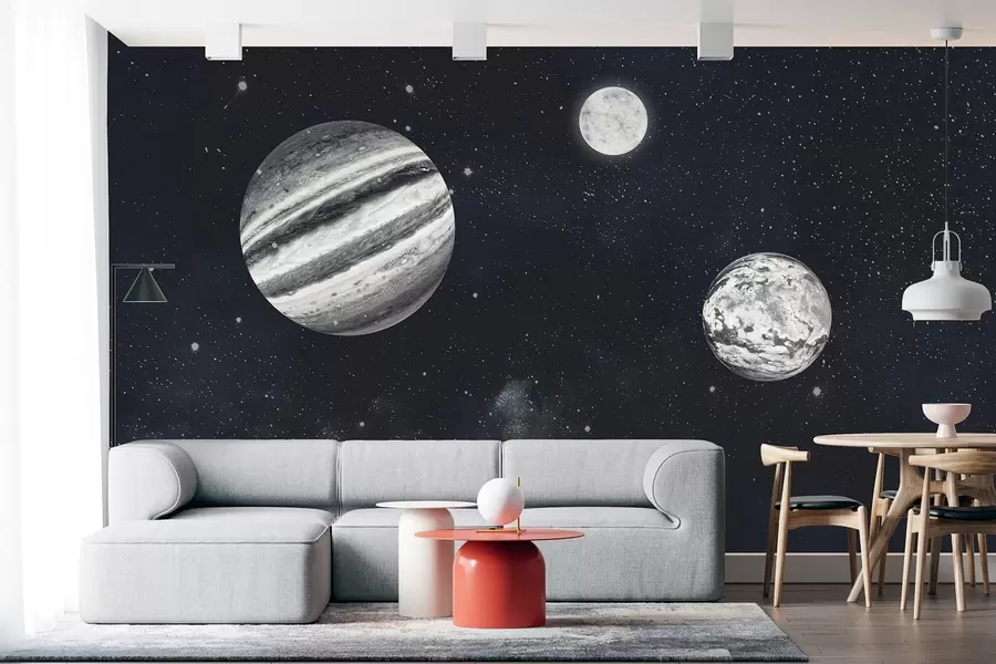 murales de pared Espacio cósmico con estrellas y plantas w01799
