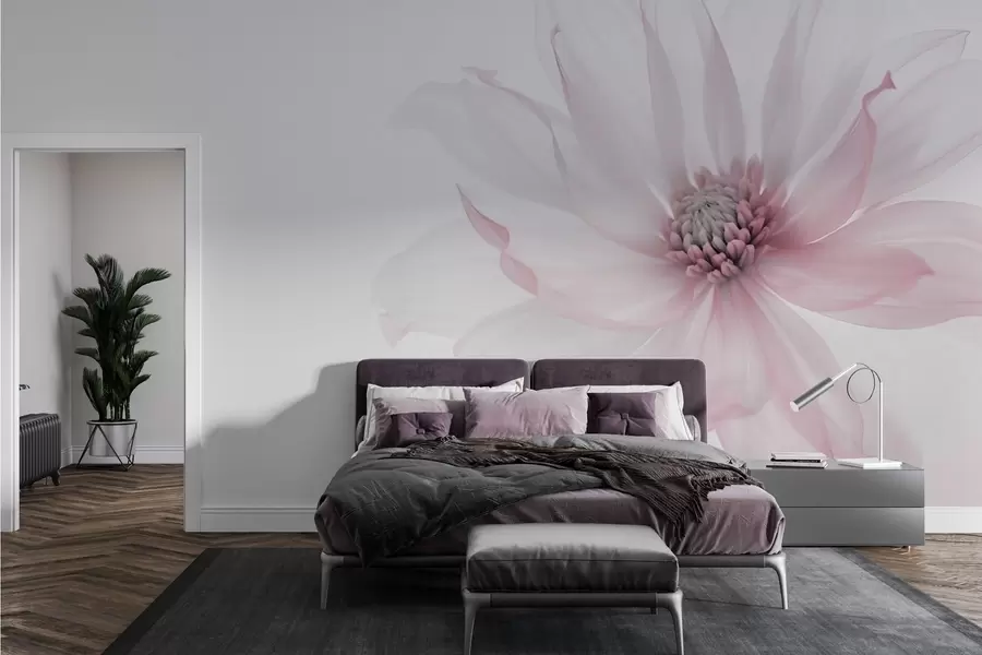 murales de pared Delicada flor rosa sobre fondo claro w02077v2