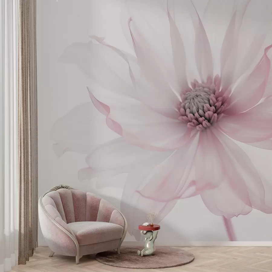 murales de pared Delicada flor rosa sobre fondo claro w02077v2