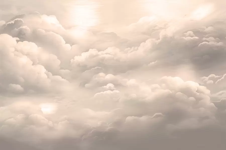 murales de pared Nubes en color sepia w02189