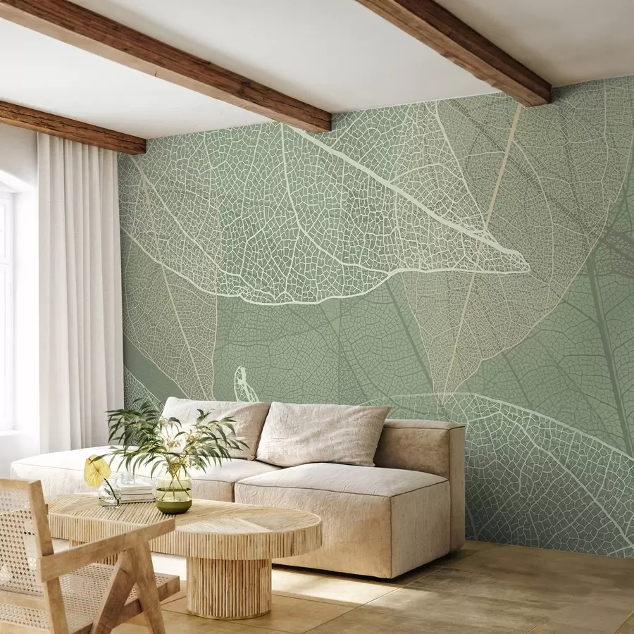 murales de pared primer plano de hojas con venas en tonos verde claro w02520