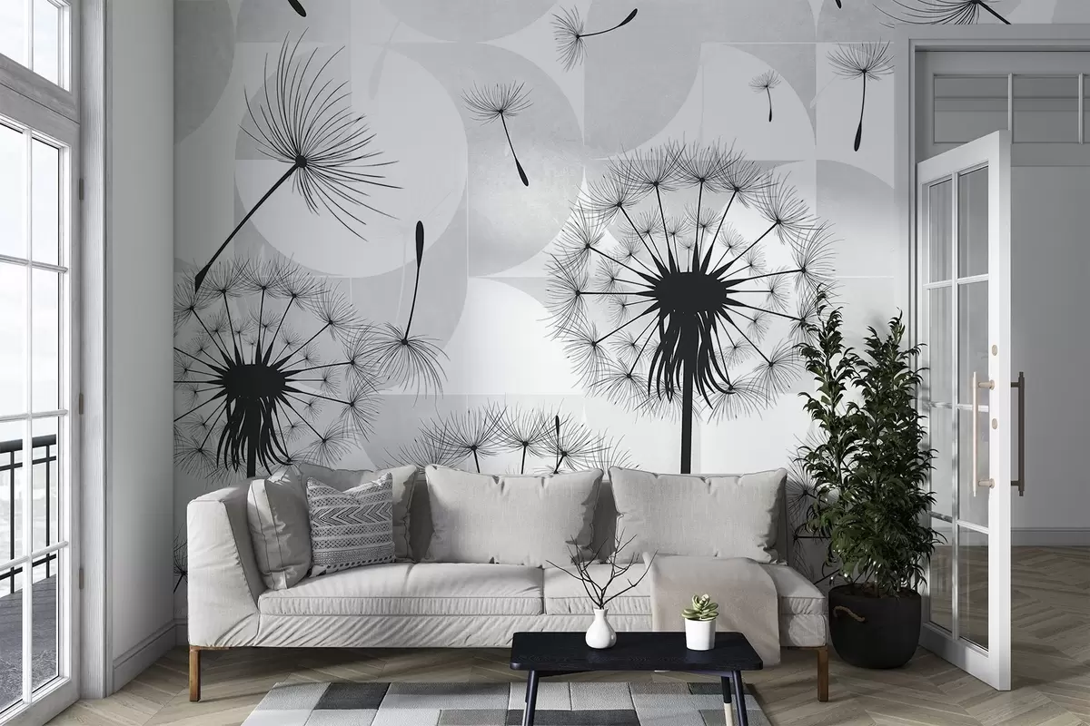 murales de pared Flores de diente de león blancas y negras con esponjosas cabezas de semillas sobre un fondo de textura blanca y gris claro w08529