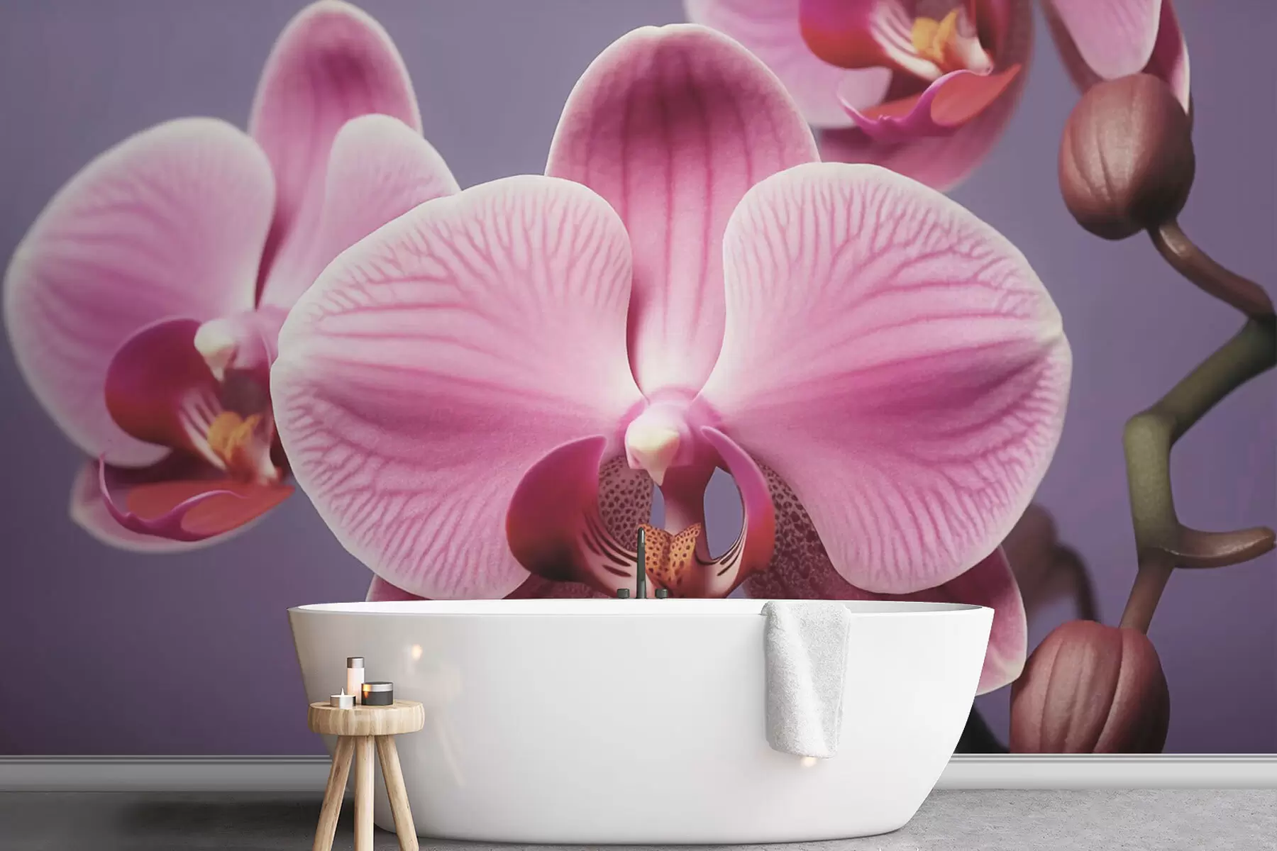 murales de pared Hermosa flor de orquídea w03498