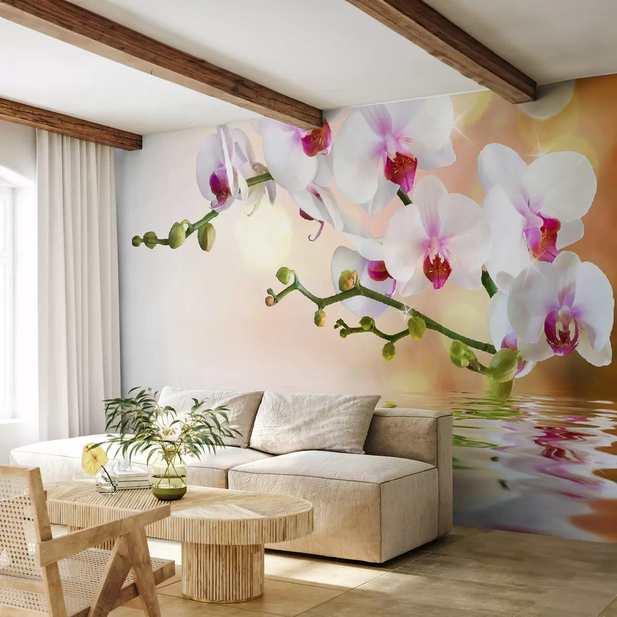 murales de pared orquídeas sobre el agua u56940