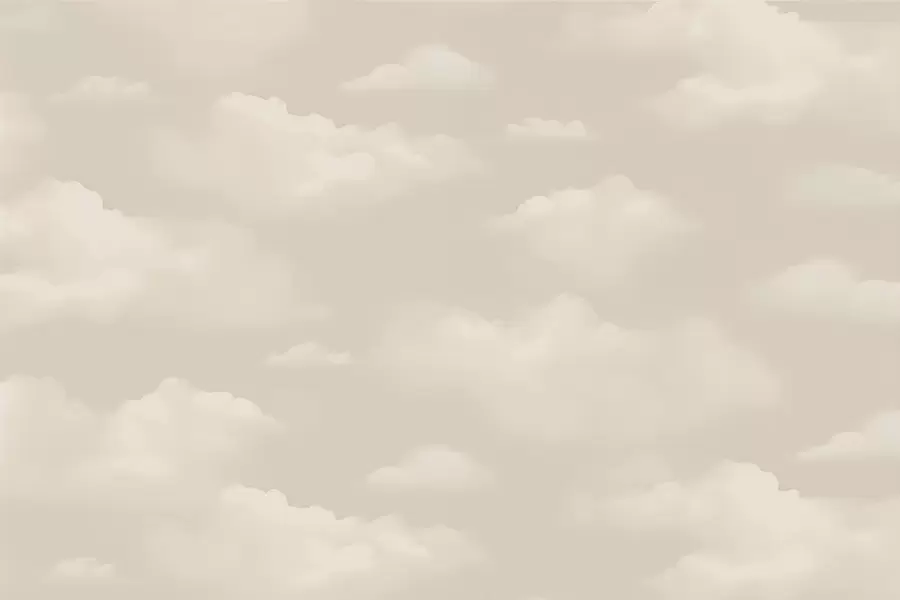 murales de pared Nubes cremosas sobre fondo beige claro w03994