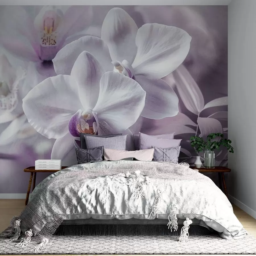 murales de pared Delicadas flores de orquídea blancas y lilas, iluminación suave y fondo difuminado con textura w09155
