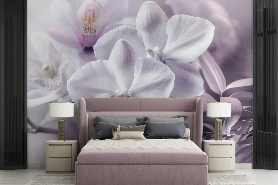 murales de pared Delicadas flores de orquídea blancas y lilas, iluminación suave y fondo difuminado con textura w09155