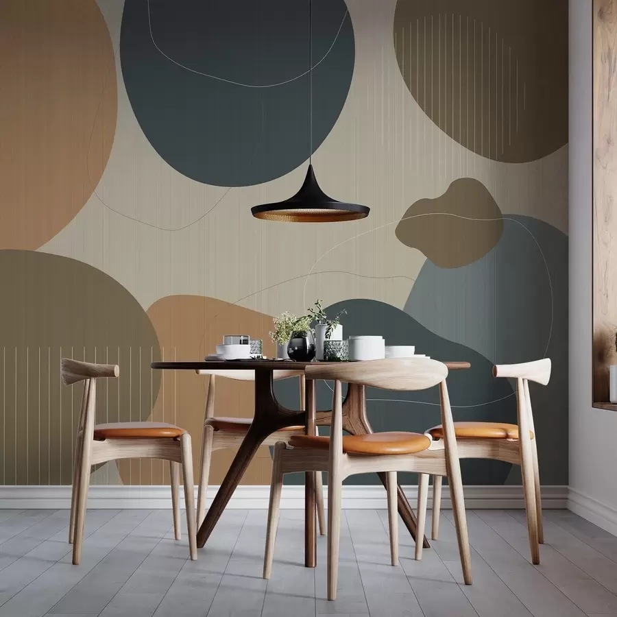 murales de pared Círculos abstractos w04759v1