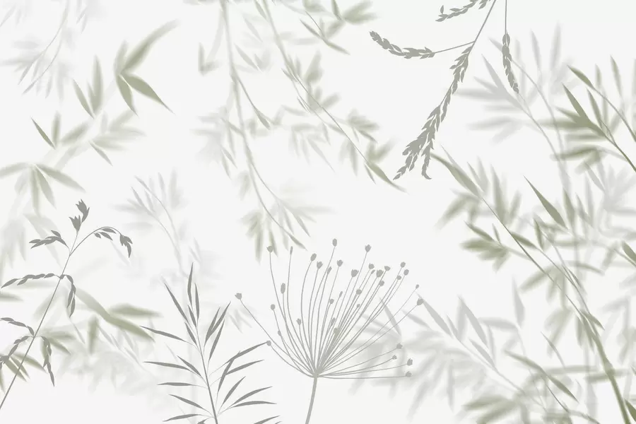 murales de pared Siluetas de follaje w04850