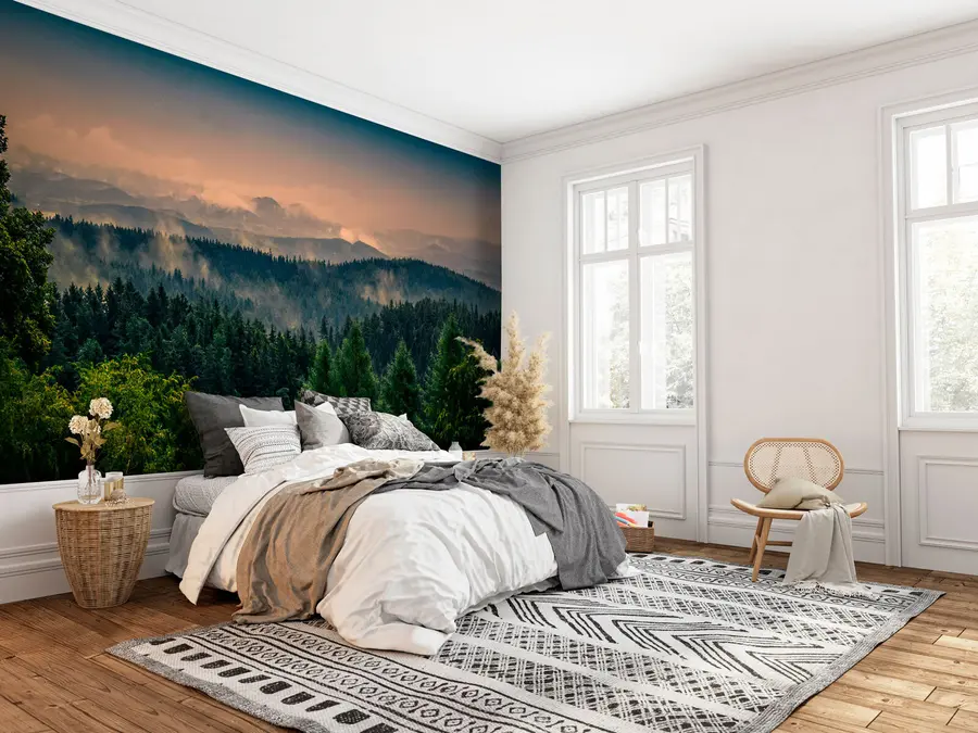 murales de pared Árboles de árboles en la niebla u72174