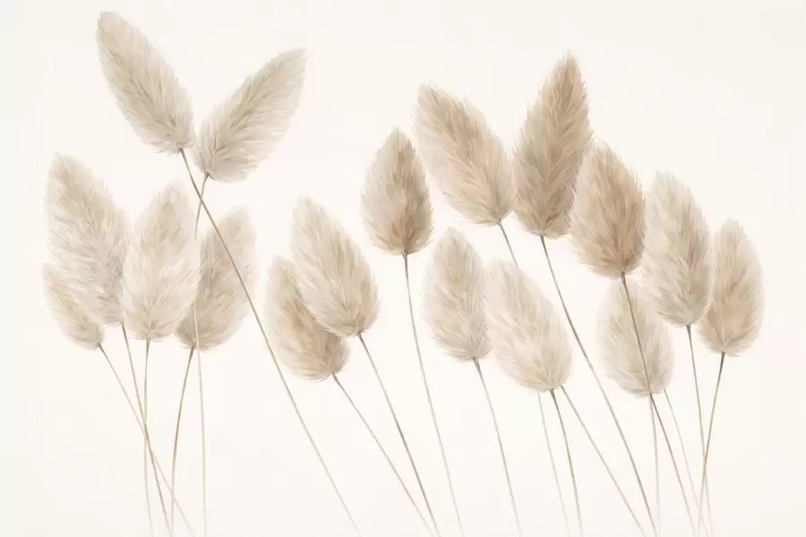 murales de pared Espiguillas de campo w05175