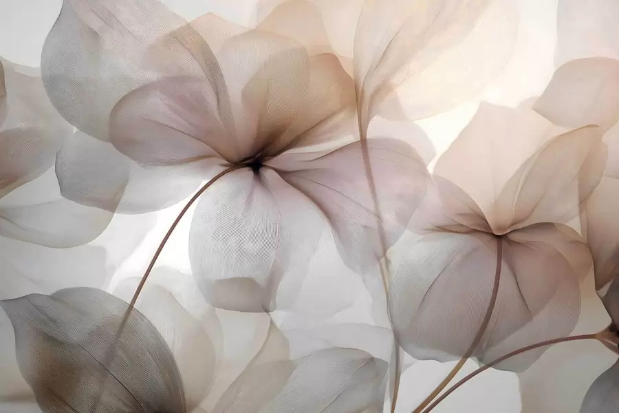 murales de pared flores semitransparentes con vetas w05070