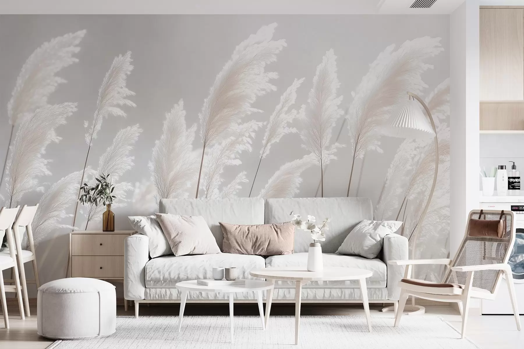 murales de pared Suave hierba de la pampa blanca bajo la suave luz de la mañana. w09717