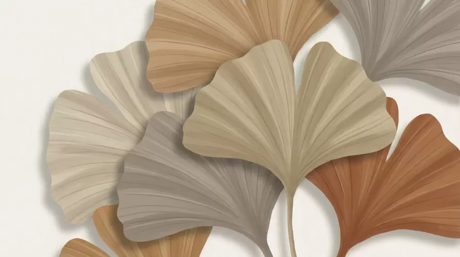 murales de pared Hojas grandes w05288