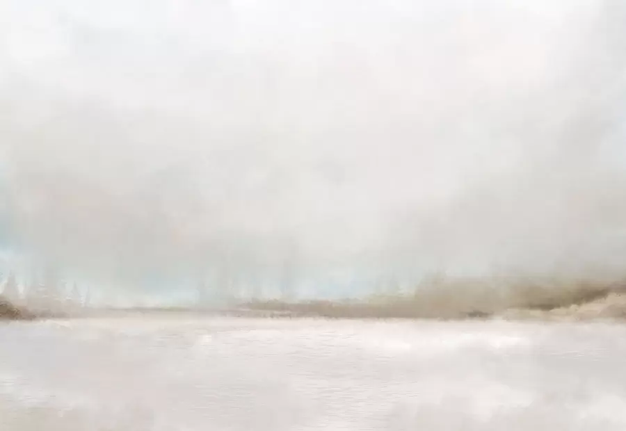 murales de pared Paisaje brumoso con lago y bosque w05319