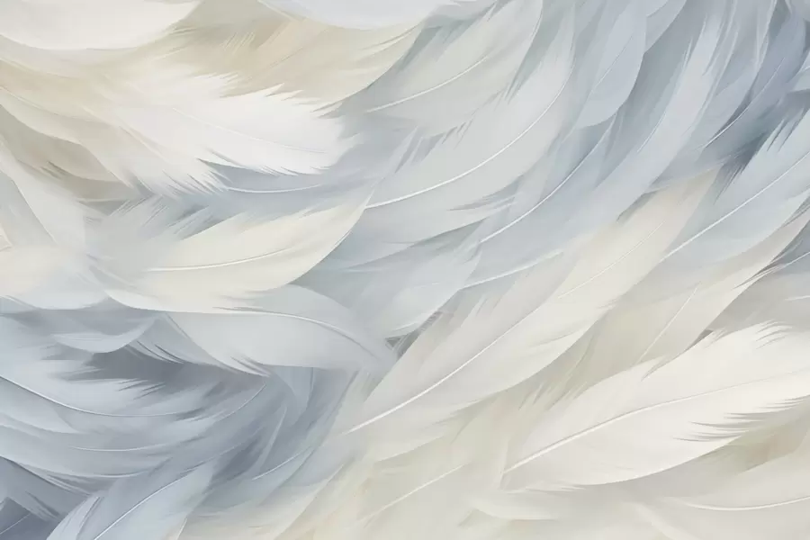 murales de pared Plumas w05470