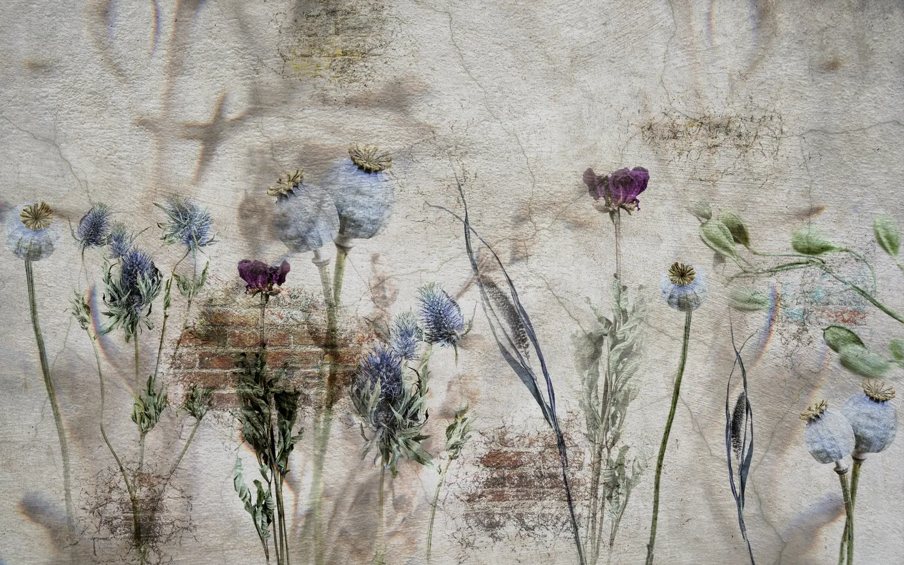 murales de pared Flores y hierbas u72771