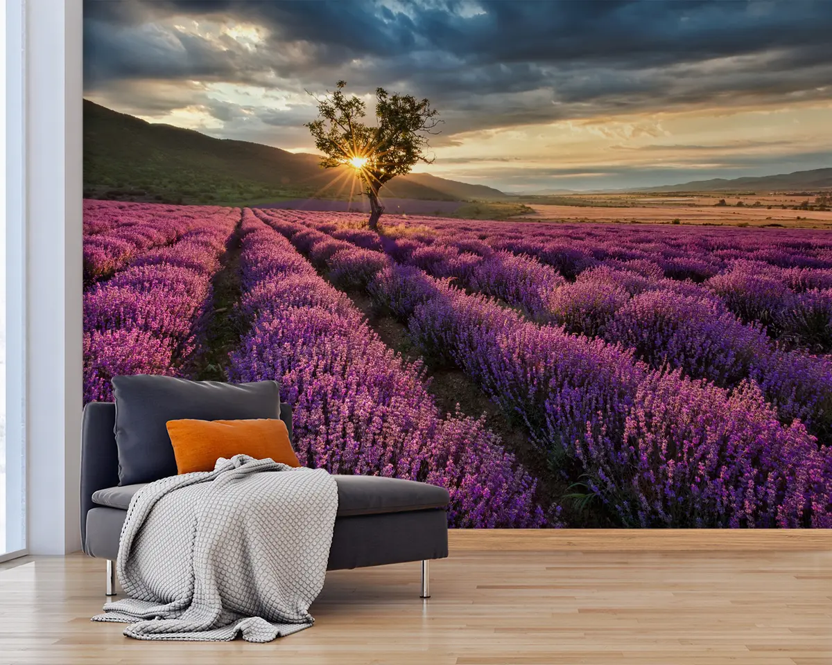 murales de pared Nube, cielo y flor u57229