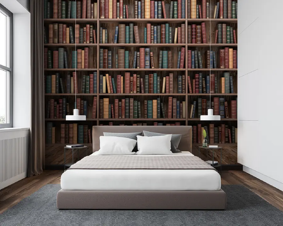 murales de pared Impresionante biblioteca u93501