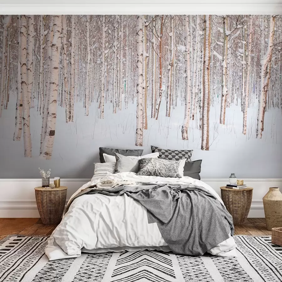 murales de pared Bosque de abedul en la nieve u74232