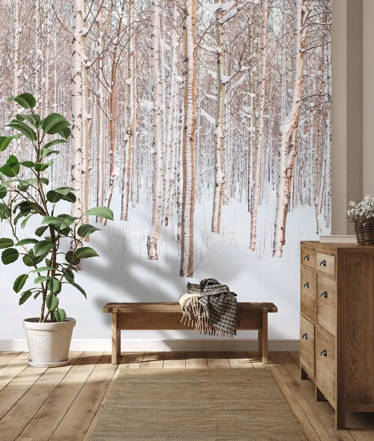 murales de pared Bosque de abedul en la nieve u74232