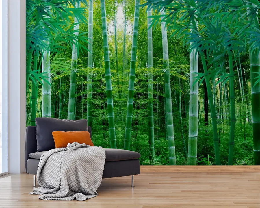 murales de pared Planta, verde y bambú. u44596