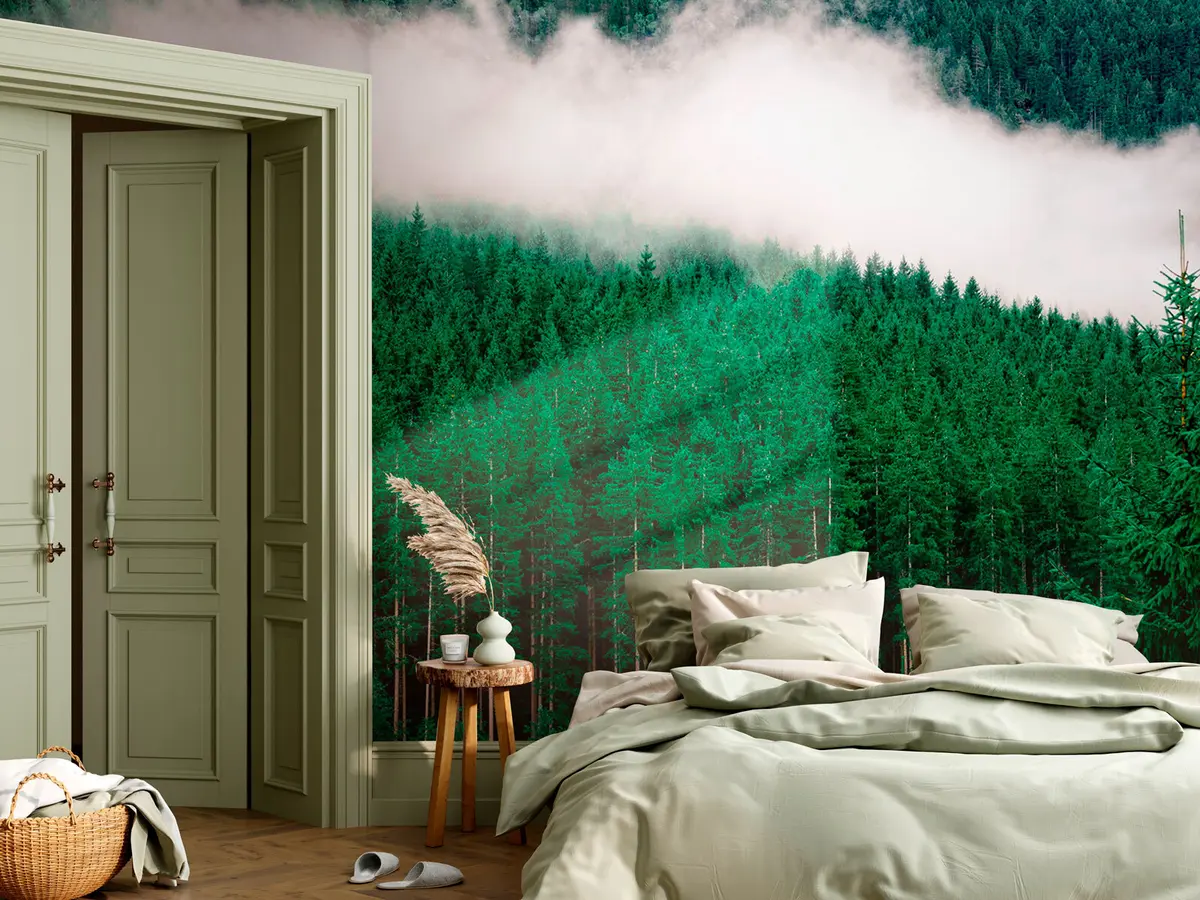 murales de pared Bosque denso verde con pinos altos y niebla u95106