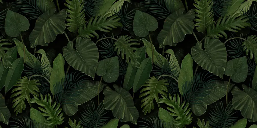 murales de pared Verde intenso de la selva u95470