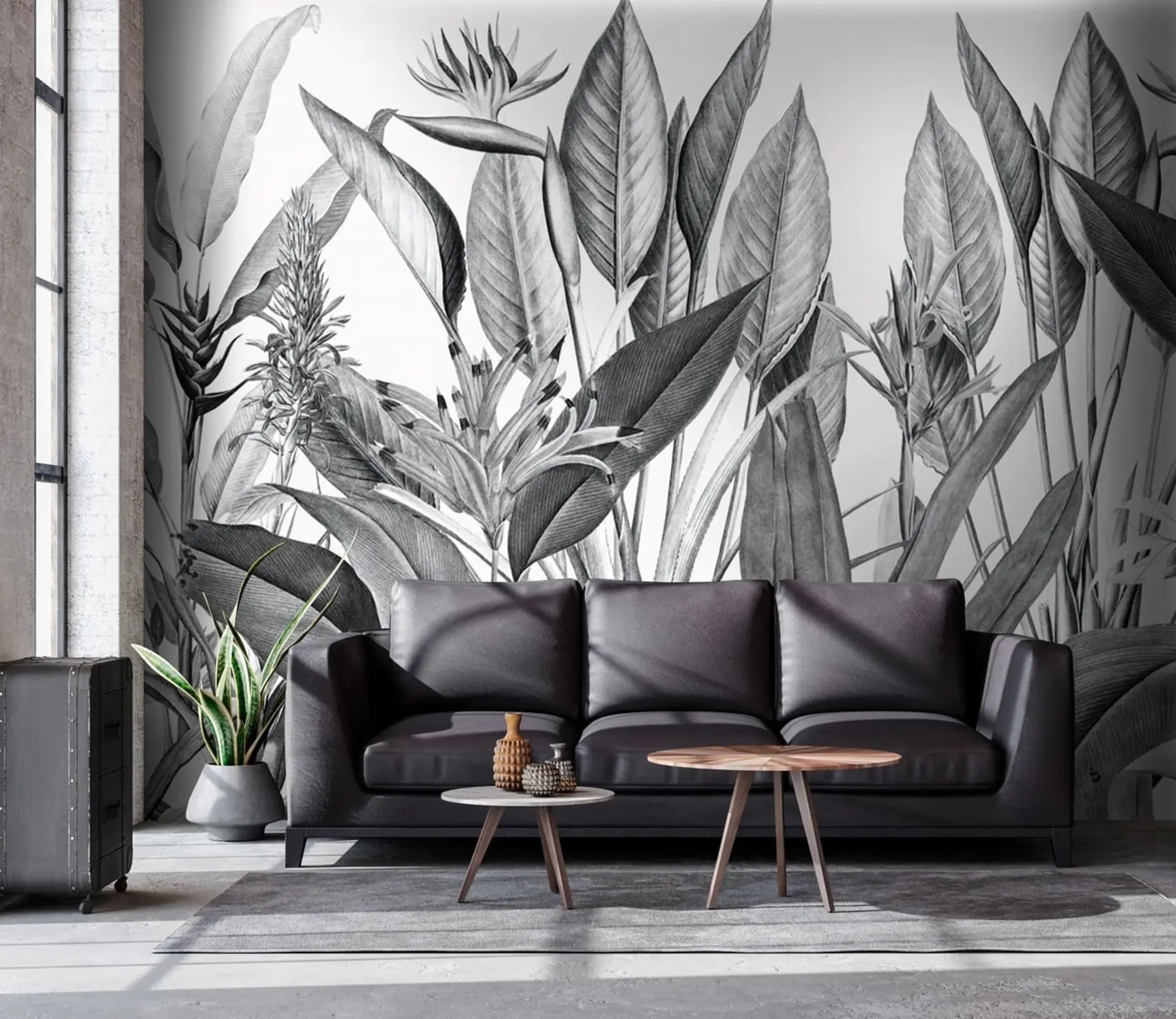 murales de pared Plantas de la selva tropical color blanco y negro u96833
