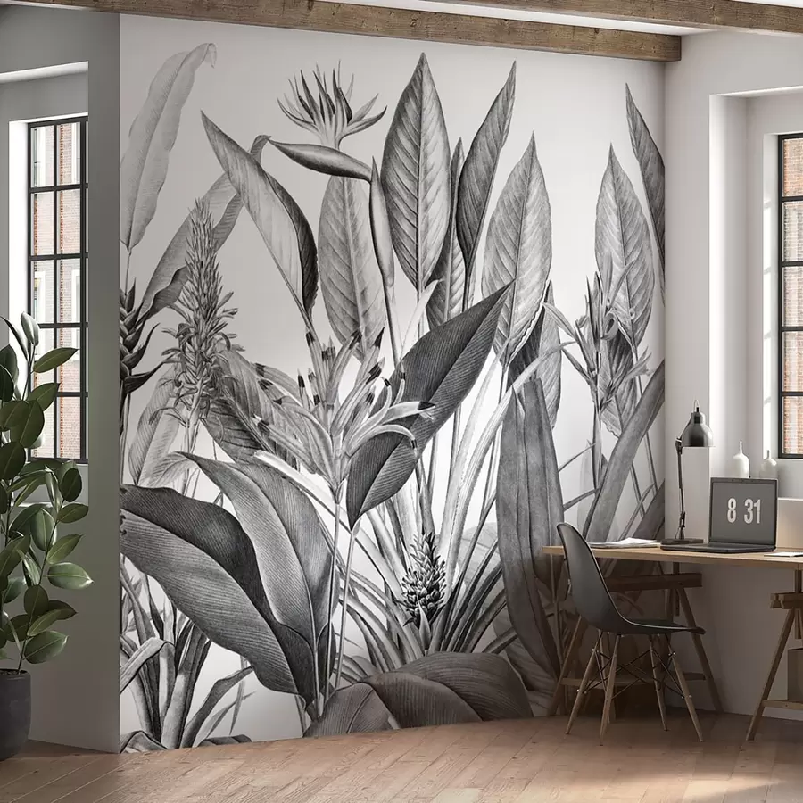 murales de pared Plantas de la selva tropical color blanco y negro u96833