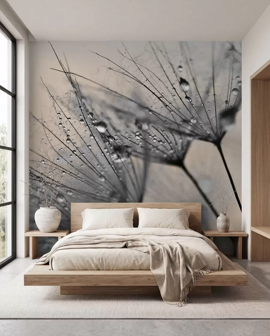 murales de pared Rocío de diente de león plata u57557v2