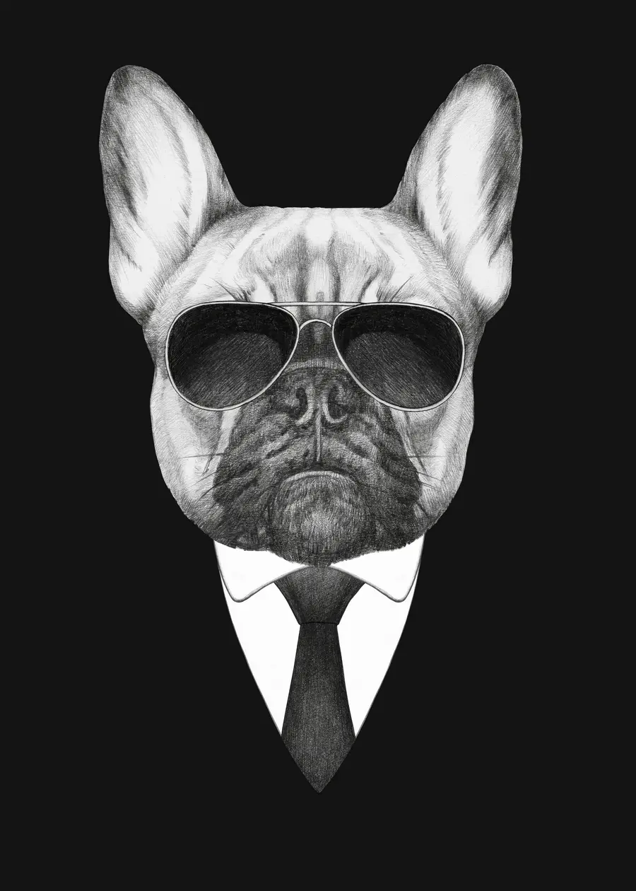 murales de pared Retrato de un Bulldog Francés con traje y gafas de sol u98183