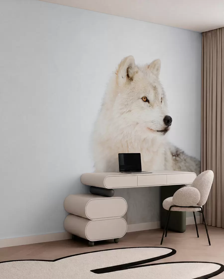 murales de pared Lobo ártico sobre fondo blanco u98189